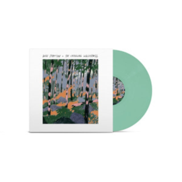 STRATTON, WILL | CHANGING WILDERNESS | VINYL RECORD (LP)