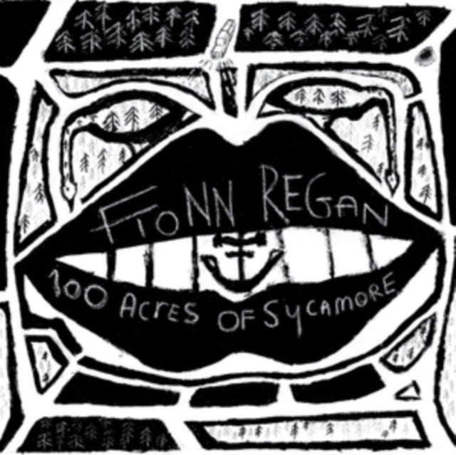 REGAN, FIONN | 100 ACRES OF SYCAMORE | VINYL RECORD (LP)