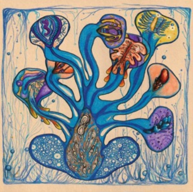 HEDFI, HOUEIDA | FLEUVES DE L'AME | VINYL RECORD (LP)