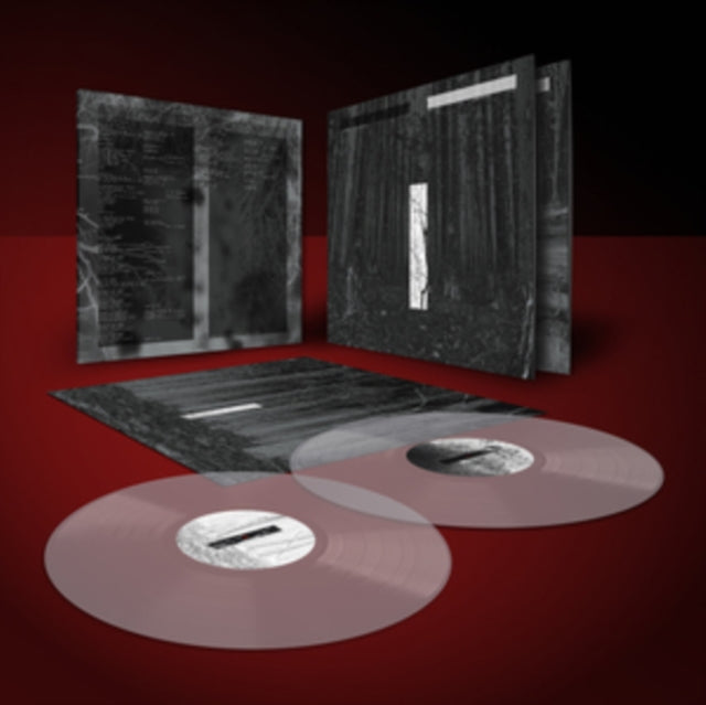 LIEBING, CHRIS | ANOTHER DAY | VINYL RECORD (LP)