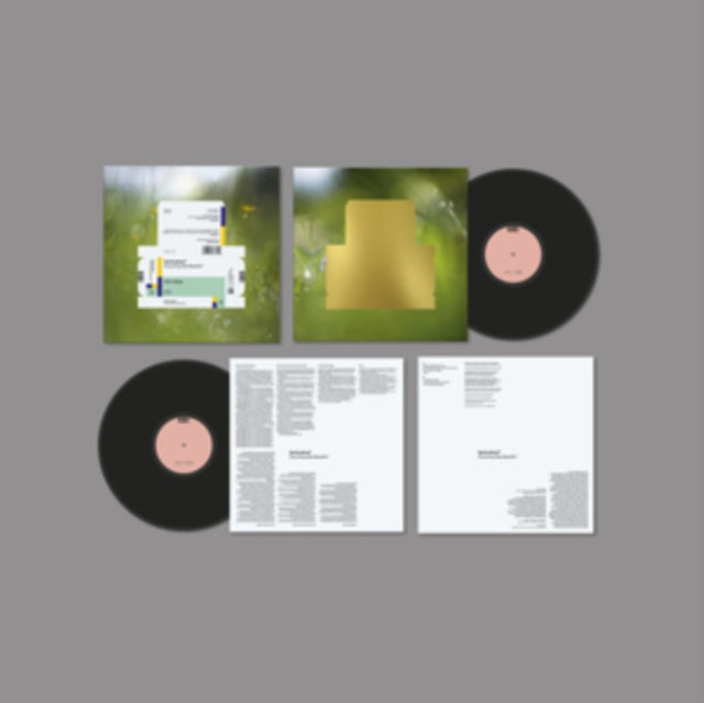 SPIRITUALIZED | EVERYTHING WAS BEAUTIFUL | VINYL RECORD (LP)