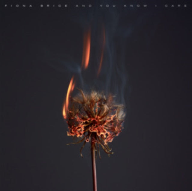 BRICE, FIONA | AND YOU KNOW I CARE | VINYL RECORD (LP)