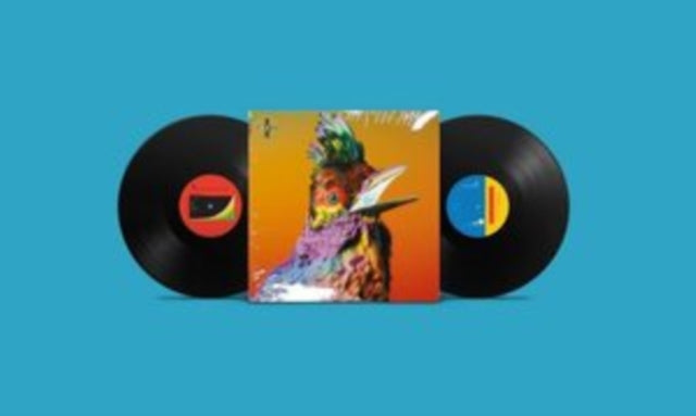 FLUME | PALACES | VINYL RECORD (LP)