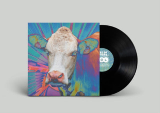 EYE OF OTHERS | EYES OF OTHERS | VINYL RECORD (LP)