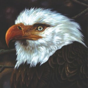 MOGWAI | HAWK IS HOWLING (WHITE VINYL/REISSUE/2LP) | VINYL RECORD (LP)