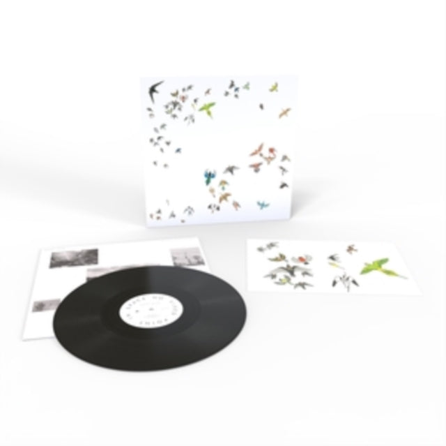 MODERN NATURE | NO FIXED POINT IN SPACE | VINYL RECORD (LP)