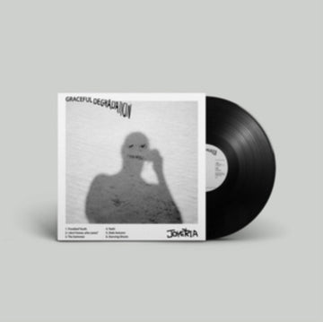 GRACEFUL DEGRADATION | 12IN VINYL