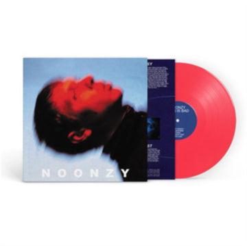 PLAN IS BAD | VINYL RECORD (LP)