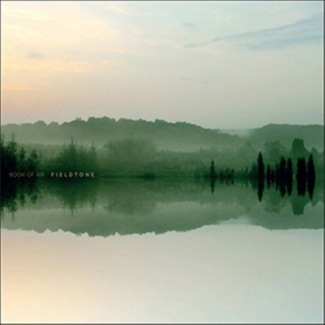 BOOK OF AIR | FIELDTONE (2LP) | VINYL RECORD (LP)