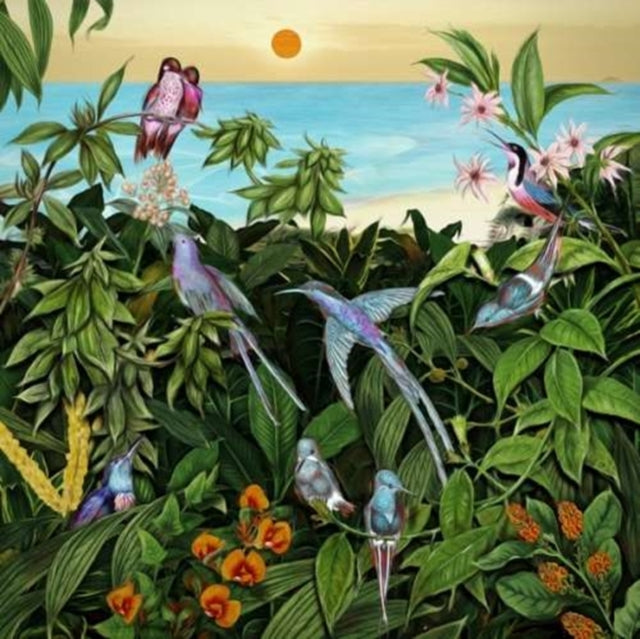 BARROTT, MARK | SKETCHES FROM AN ISLAND 2 (2LP) | VINYL RECORD (LP)