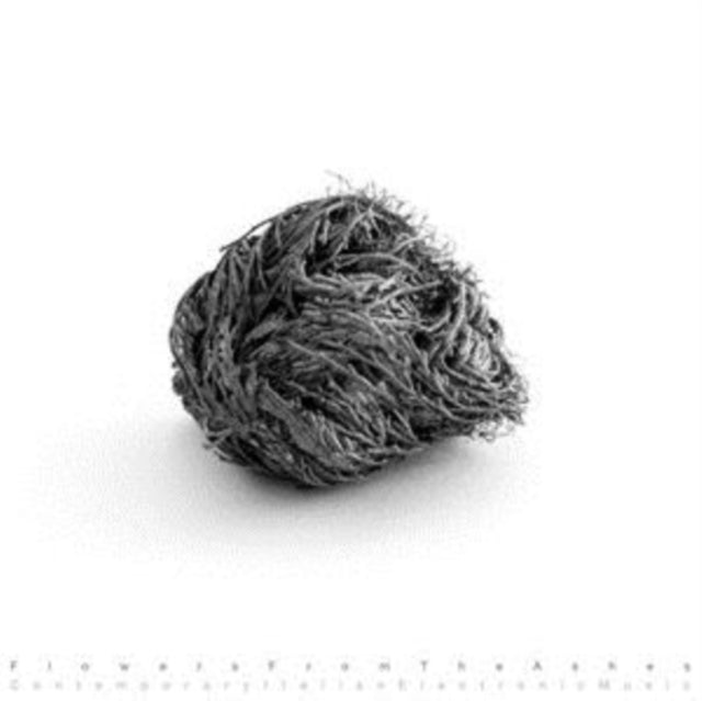 VARIOUS ARTISTS | FLOWERS FROM THE ASHES: CONTEMPORARY ITALIAN ELECTRONIC MUSIC | VINYL RECORD (LP)