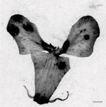 DYSCAMUPIA (IMPORT) | 12IN VINYL