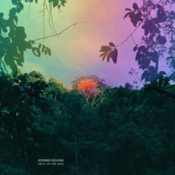 FRUIT OF THE VOID | VINYL RECORD (LP)