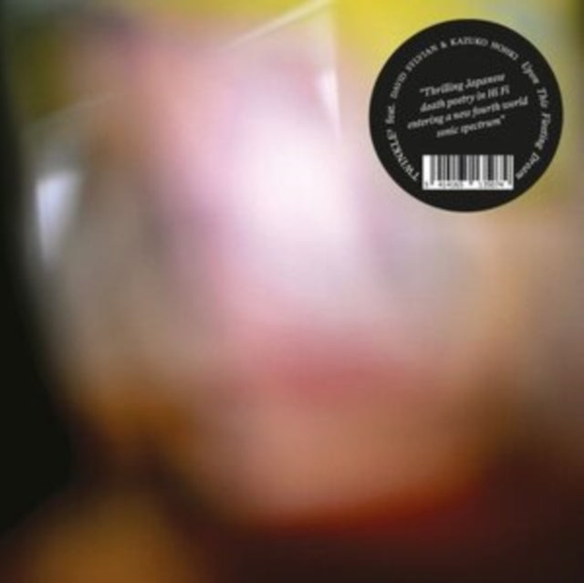 TWINKLE3 FEAT. DAVID SYLVIAN & KAZUKO HOHKI | UPON THIS FLEETING DREAM | VINYL RECORD (LP)