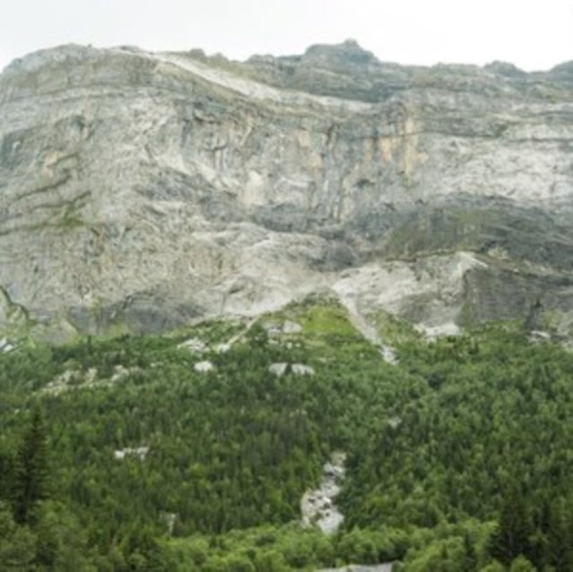 L., MICH | AIR NEAR SILENCE (LP/CD) | VINYL RECORD (LP)