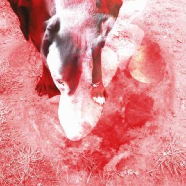 EYSERMANS, ANN | MOONLIGHT SHADOH | VINYL RECORD (LP)