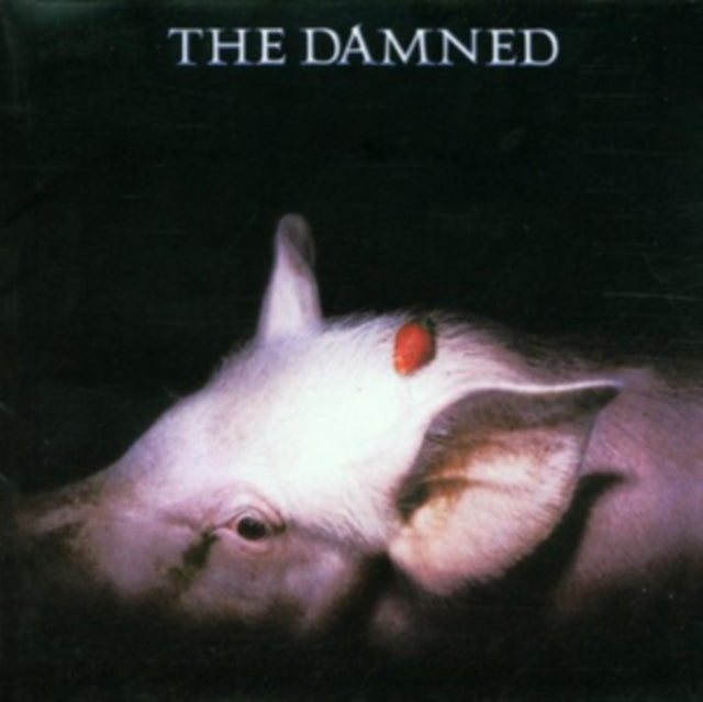 DAMNED | STRAWBERRIES | CD