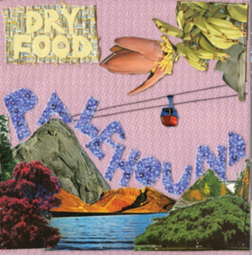 DRY FOOD | VINYL RECORD (LP)