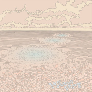 SKIP A SINKING STONE | VINYL RECORD (LP)