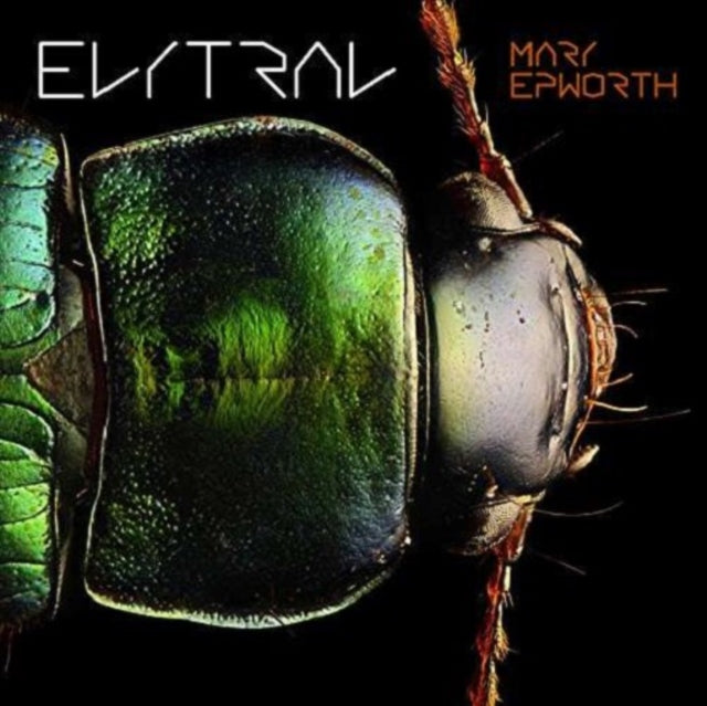 EPWORTH, MARY | ELYTRAL | VINYL RECORD (LP)