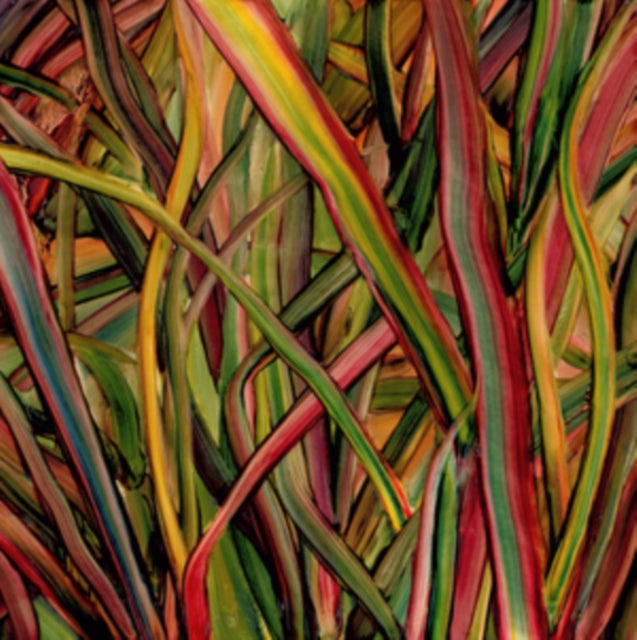 GENGAHR | WHERE WILDNESS GROWS | VINYL RECORD (LP)