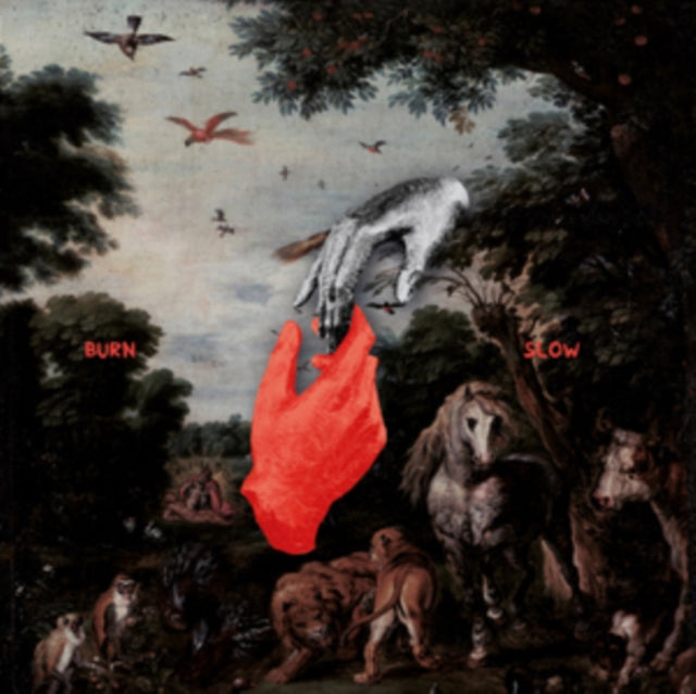 LIEBING, CHRIS | BURN SLOW | VINYL RECORD (LP)
