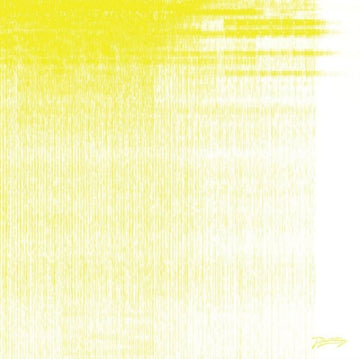 PROJECTOR | VINYL RECORD (LP)