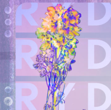 RYD | VINYL RECORD (LP)