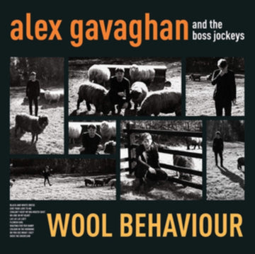WOOL BEHAVIOUR | VINYL RECORD (LP)