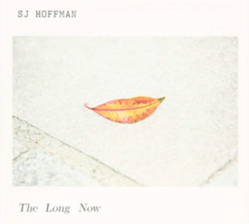 LONG NOW | VINYL RECORD (LP)