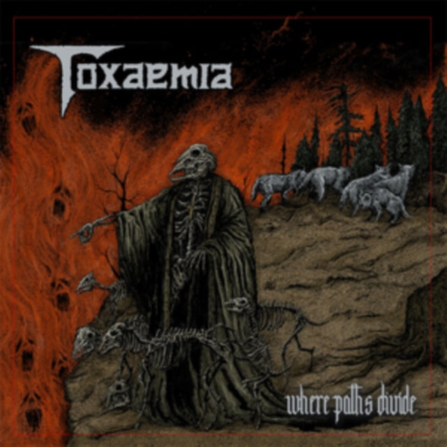 TOXAEMIA | WHERE PATHS DIVIDE | VINYL RECORD (LP)