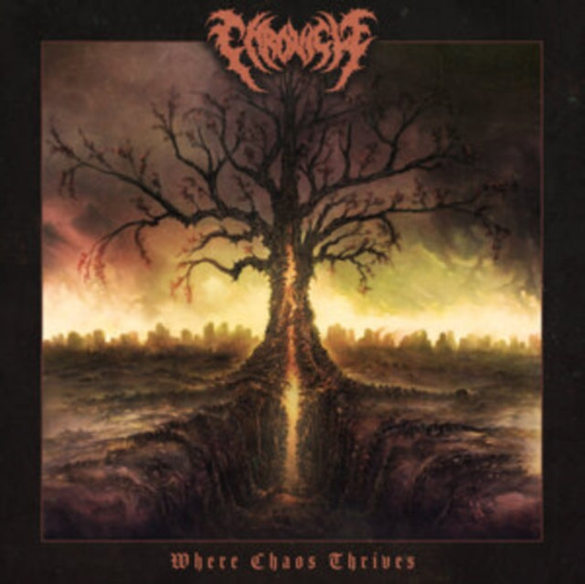 CHRONICLE | WHERE CHAOS THRIVES | VINYL RECORD (LP)