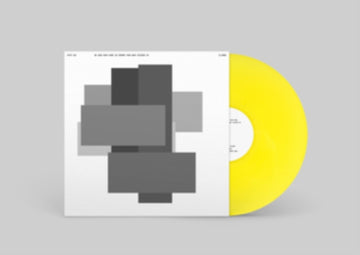 WE HAVE MUCH MORE IN COMMON THAN WHAT DIVIDES US | VINYL RECORD (LP)