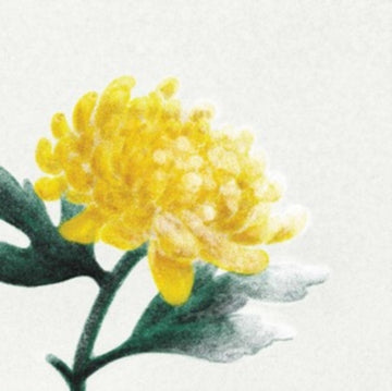 VARIOUS ARTISTS | SPRING SNOW | VINYL RECORD (LP)