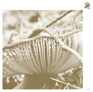 RISE & BLOOM | VINYL RECORD (LP)