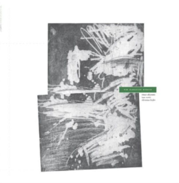 AKIYAMA, TETUZI / CARTER, TOM / KIEFER, CHRISTIAN | DARKENED MIRROR | VINYL RECORD (LP)