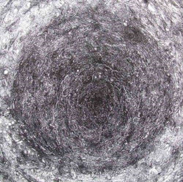 DRUMM, KEVIN | BACK ROOM | VINYL RECORD (LP)