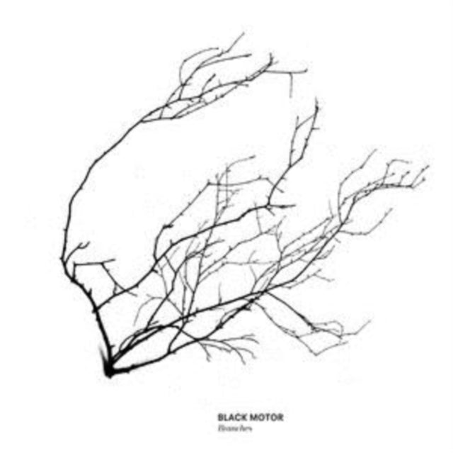 BLACK MOTOR | BRANCHES | VINYL RECORD (LP)
