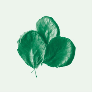 II (WHITE VINYL/IMPORT) | VINYL RECORD (LP)