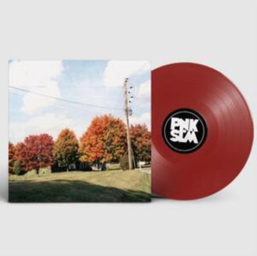 THINGS ARE GONNA BE ALRIGHT (EXTENDED EDITION/RED VINYL) | VINYL RECORD (LP)