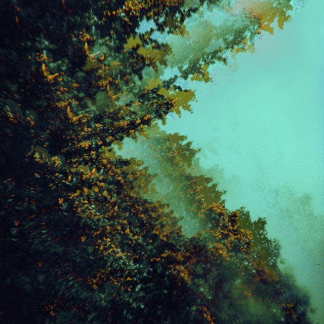 POLYMOON | CATERPILLARS OF CREATION | VINYL RECORD (LP)