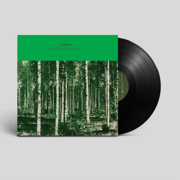 PENNSELMANN HITS VOL. 2765 | VINYL RECORD (LP)