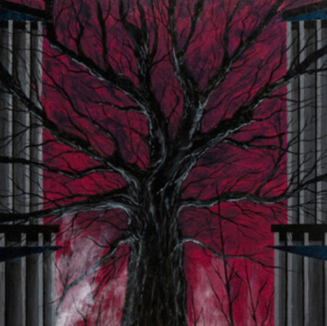 RADIEN | UNISSA PALANEET | VINYL RECORD (LP)