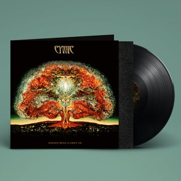 KINDLY BENT TO FREE US | VINYL RECORD (LP)