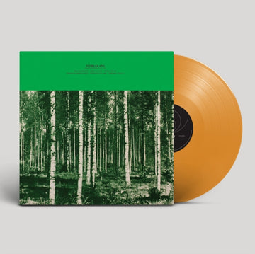 PENNSELMANN HITS VOL. 2765 (ORANGE VINYL) | VINYL RECORD (LP)