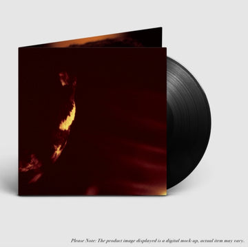 STORMCROWFLEET (2LP/30TH ANNIVERSARY EDITION/BOOKLET/GATEFOLD) | VINYL RECORD (LP)