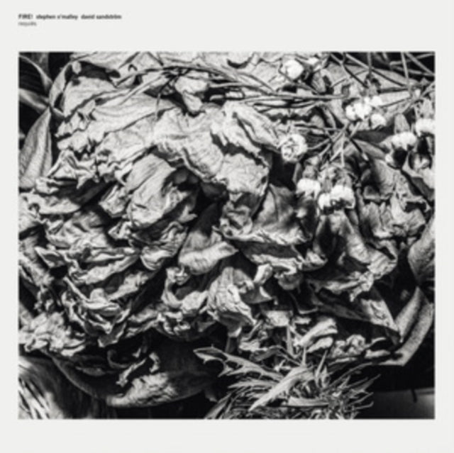 FIRE! WITH STEPHEN O'MALLEY & DAVID SANDSTROM | REQUIES | 12IN VINYL