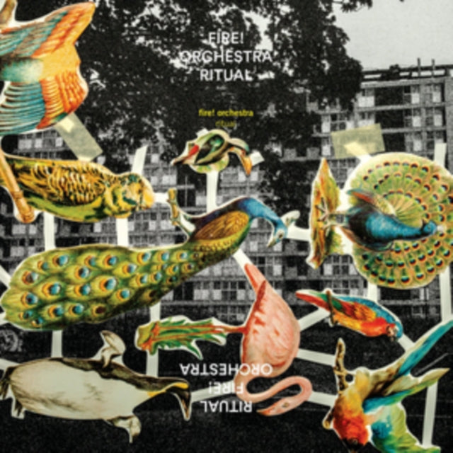 FIRE ORCHESTRA | RITUAL (2LP/CD) | VINYL RECORD (LP)