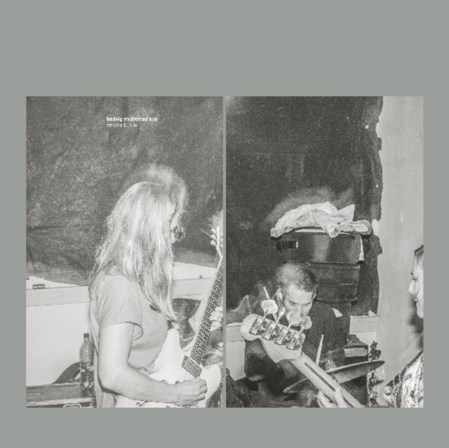 HEDVIG MOLLESTAD TRIO | SMELLS FUNNY | VINYL RECORD (LP)