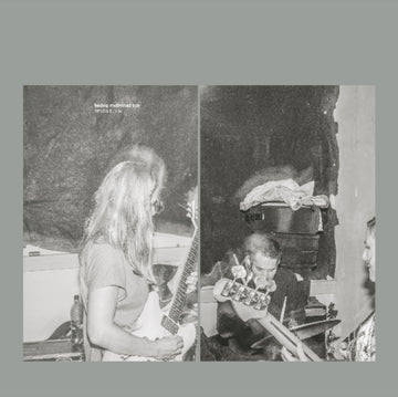 HEDVIG MOLLESTAD TRIO | SMELLS FUNNY | VINYL RECORD (LP)